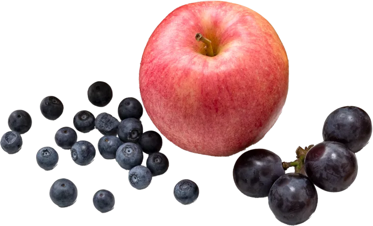 新鮮な果物と野菜