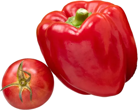 新鮮な果物と野菜