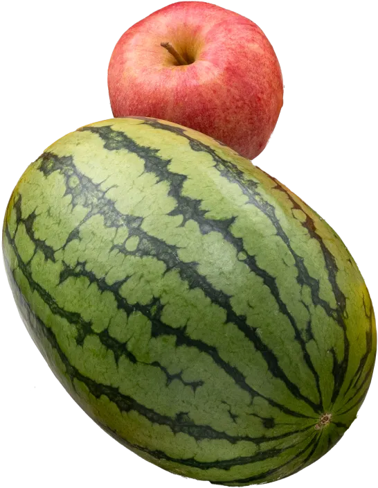 新鮮な果物と野菜